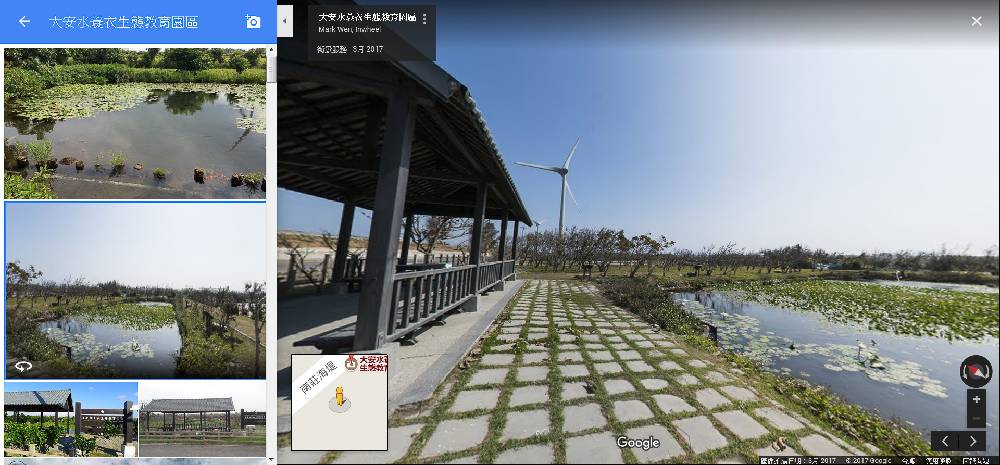 大安水蓑衣Google街景能欣賞生長環境和分布
