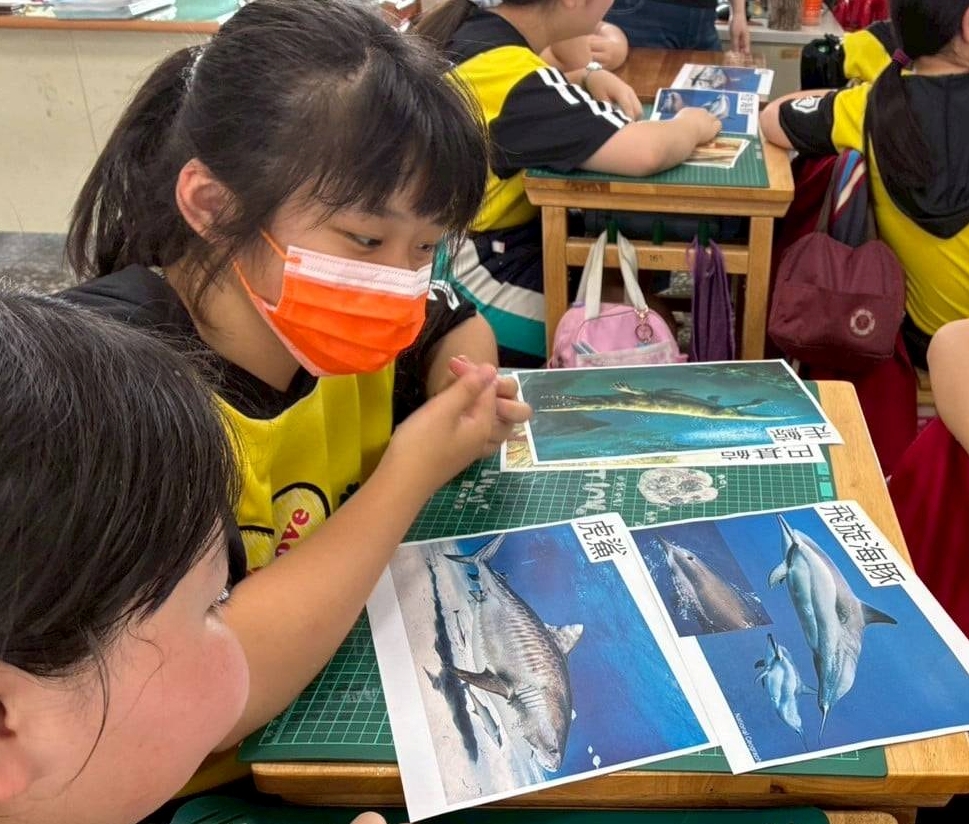 透過活動引導學生認識鯨鯊與現今海洋生態危機